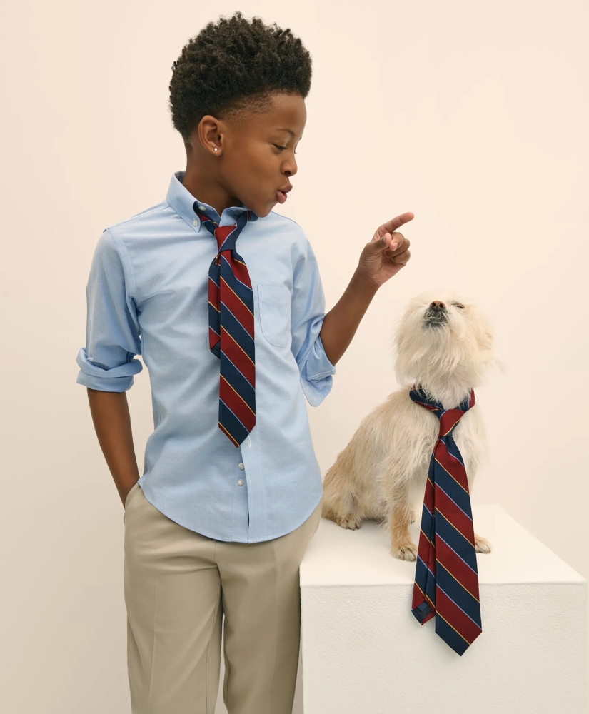 3bb11606_BOYS_NON_IRON_SUPIMA_OXFORD_POLO_BUTTON_DOWN_DRESS_SHIRT_BLUE-1